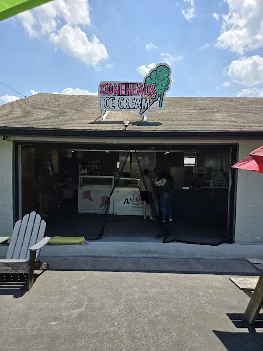 CONEHEADS NORTH ICE CREAM Picture 8