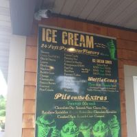 Taylor's Ice Cream ico