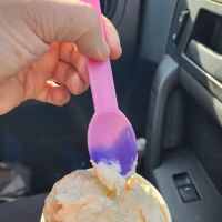 Bianco’s Ice Cream Shop ico