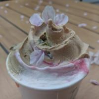 Altani Gelato & Coffee ico