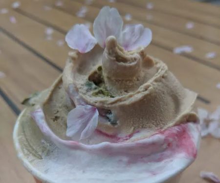 Altani Gelato & Coffee