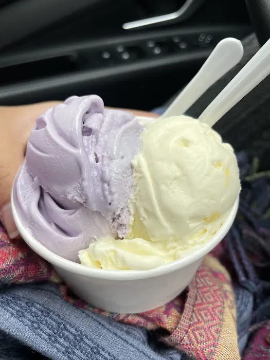 Altani Gelato & Coffee Picture 2