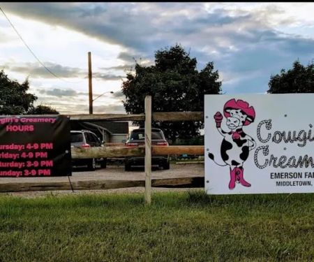 Cowgirl's Creamery At Emerson Farms