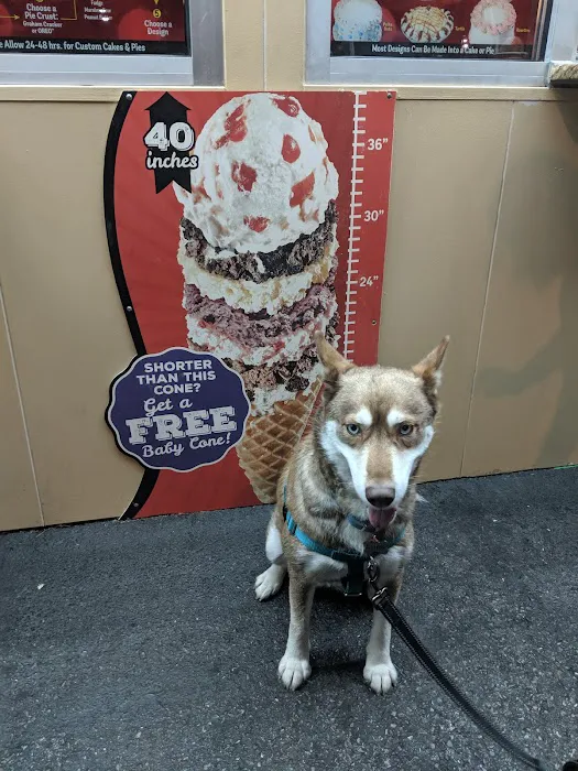 Bruster's Real Ice Cream Picture 3