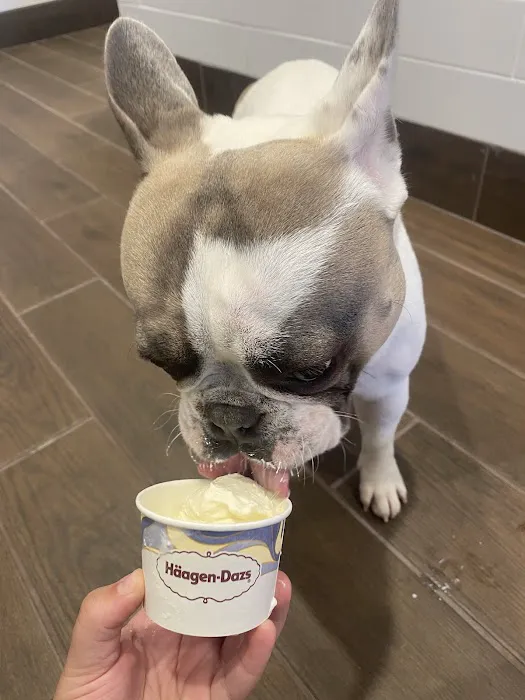 Häagen-Dazs of Middletown Picture 7