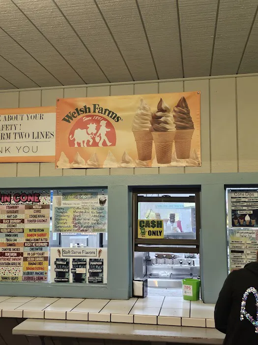 Quickway Twin Cone Picture 7
