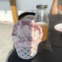 MooMoo's Ice Cream Stand ico