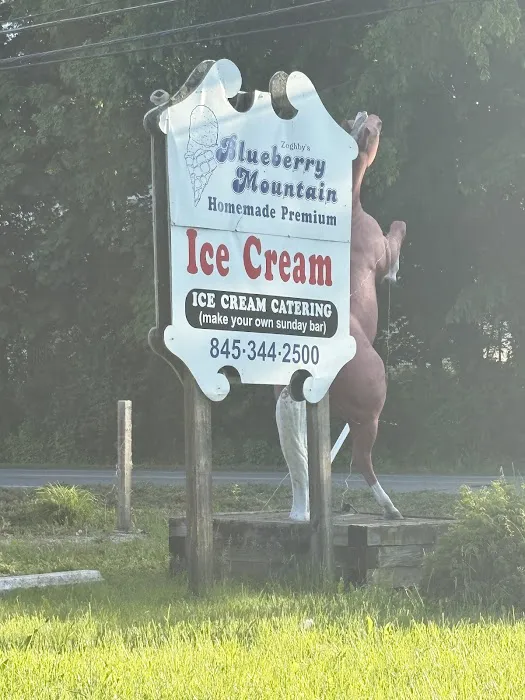 Blueberry Mountain Ice Cream Picture 6