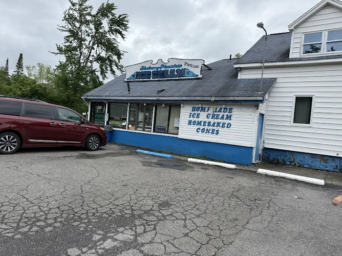 Blueberry Mountain Ice Cream Picture 1