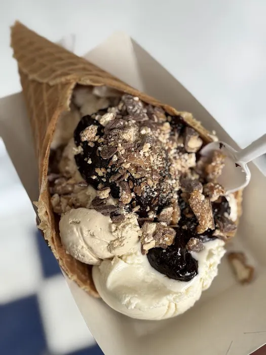 Blueberry Mountain Ice Cream Picture 8