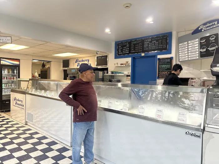 Blueberry Mountain Ice Cream Picture 9