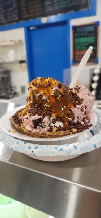 Blueberry Mountain Ice Cream Picture 2