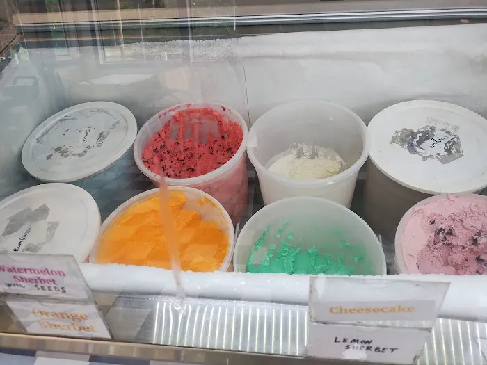 Blueberry Mountain Ice Cream Picture 4