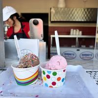 Strawberry Fields Ice Cream ico