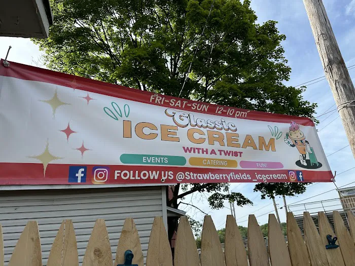 Strawberry Fields Ice Cream Picture 3
