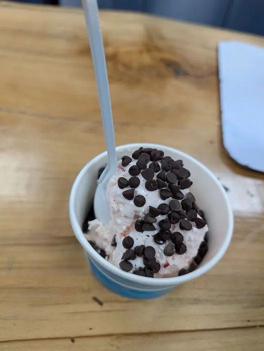Family Farm Ice Cream Picture 3