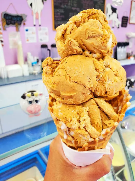 Family Farm Ice Cream Picture 8