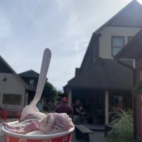 The Udder Place ico