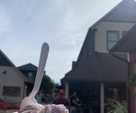 The Udder Place
