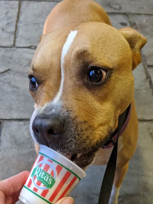Rita's Italian Ice & Frozen Custard Picture 10