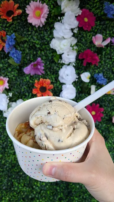 Jamison Ice Cream Picture 6