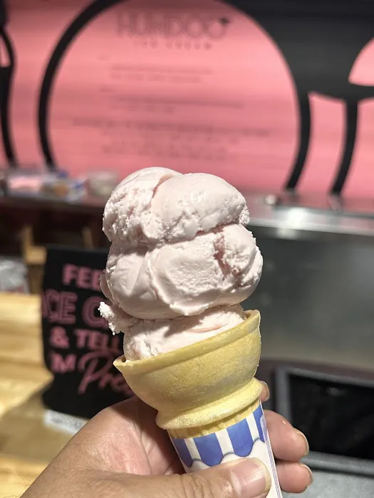 Humdoo Ice Cream Shop & Truck Picture 5