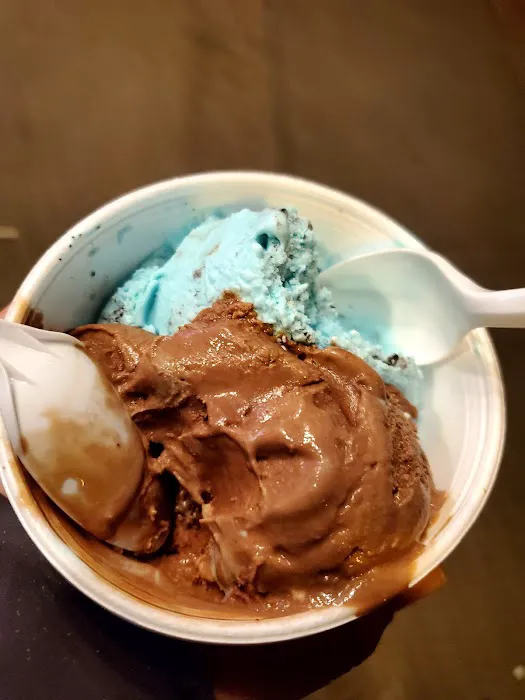 Scooped Ice Cream Picture 4