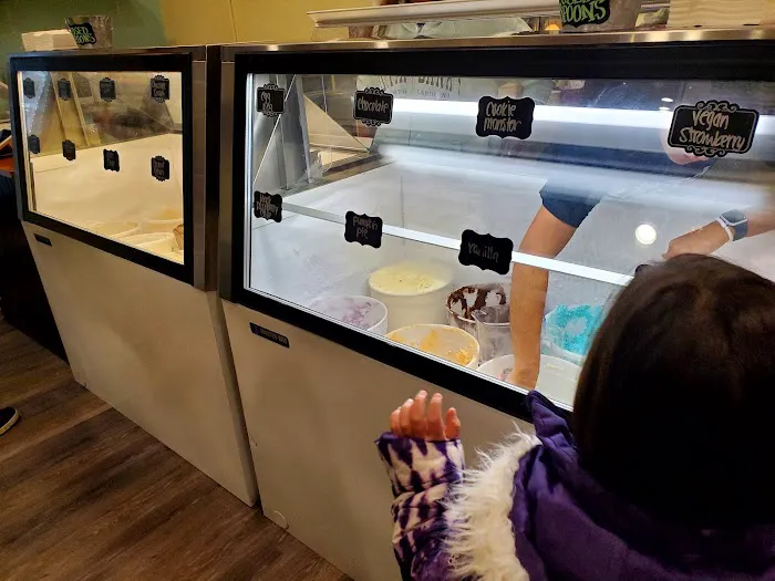 Scooped Ice Cream Picture 10