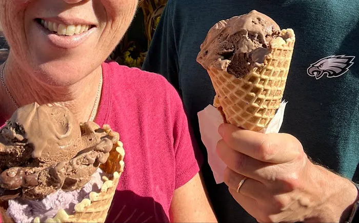 Scooped Ice Cream Picture 6