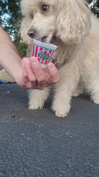 Rita's Italian Ice & Frozen Custard Picture 10