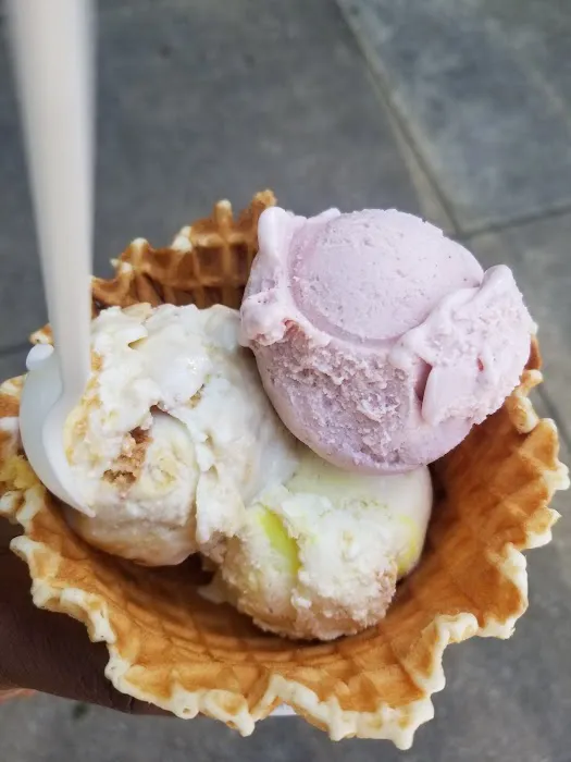 Jeni's Splendid Ice Creams Picture 4