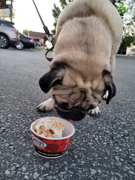 Bruster's Real Ice Cream Picture 2
