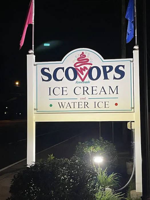 Scoops Picture 8