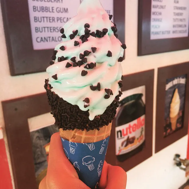 Ice Cream Delight Picture 9