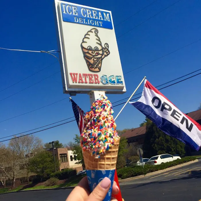 Ice Cream Delight Picture 8