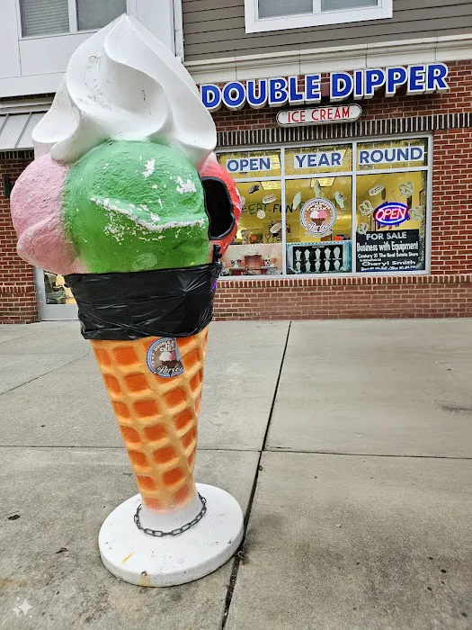 Double Dipper Ice Cream Picture 5