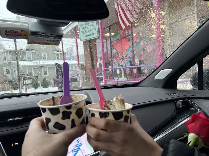 Below Zero Degrees Ice Cream Rolls Picture 3