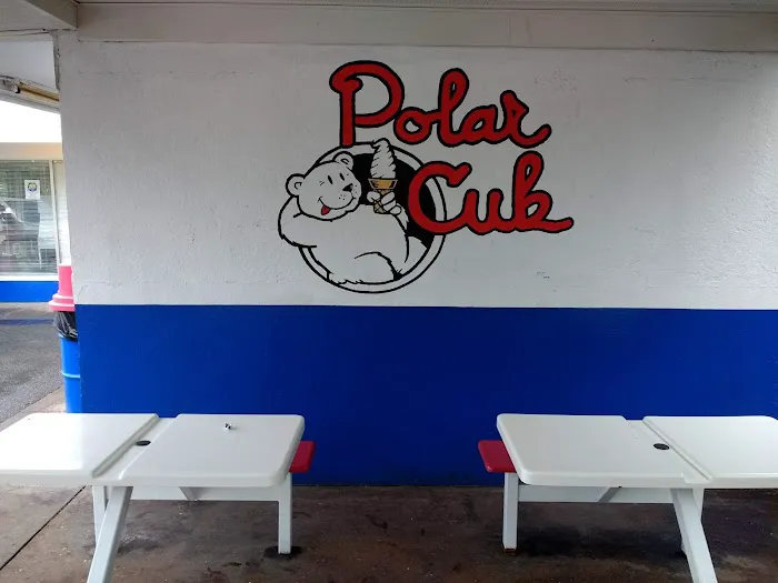 Polar Cub Ice Cream Picture 3
