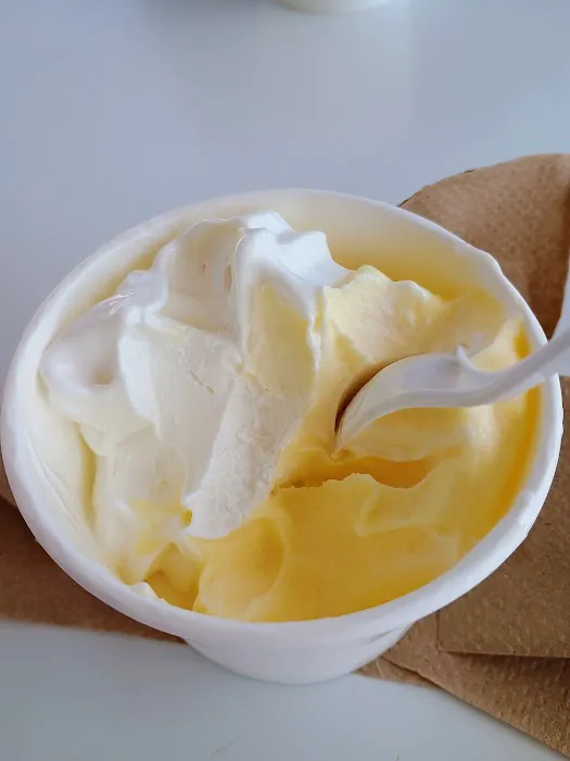 Polar Cub Ice Cream Picture 5