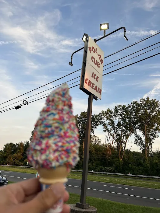 Polar Cub Ice Cream Picture 2
