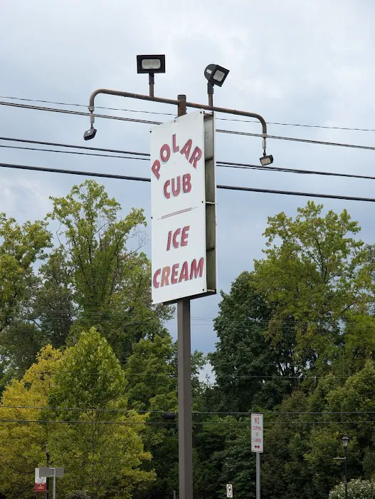 Polar Cub Ice Cream Picture 4