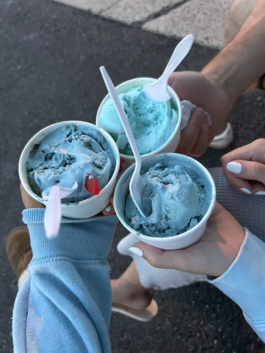 Penguin Ice Cream Picture 4