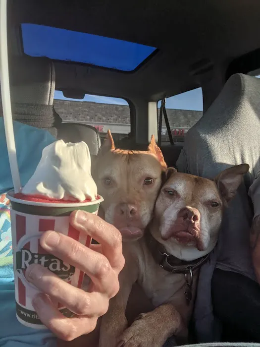 Rita's Italian Ice & Frozen Custard Picture 3
