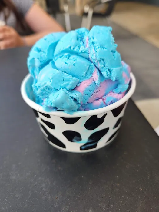 Gabbie's Creamery Picture 4