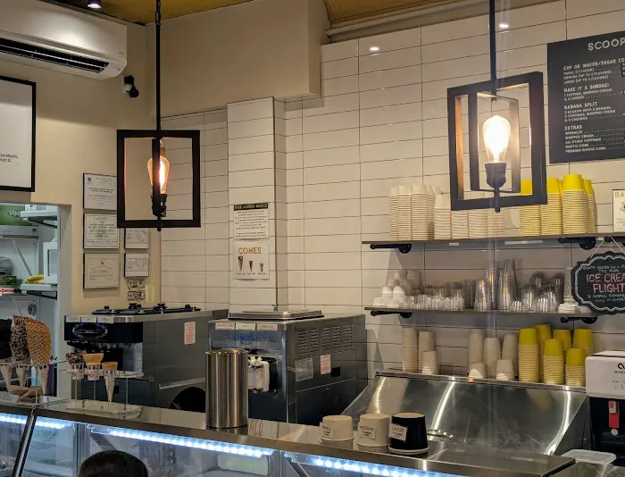 Scoop Station Picture 1