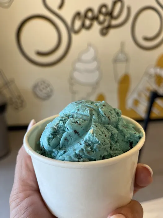 Scoop Station Picture 5