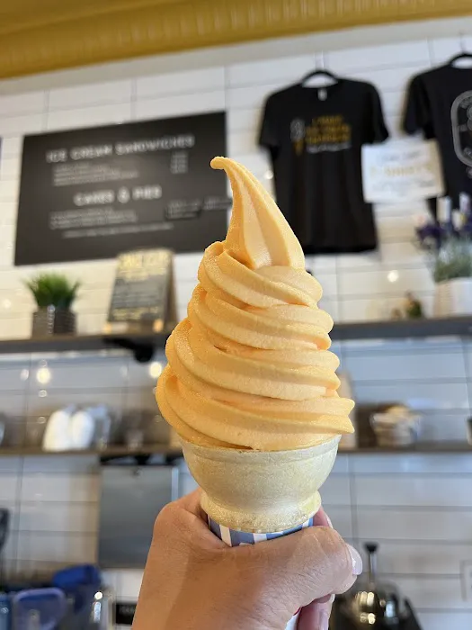 Scoop Station Picture 4