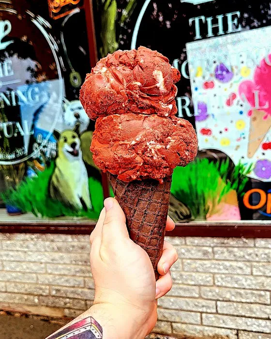 The Afternoon Scoop Picture 2