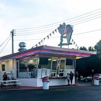 Dairyland ico