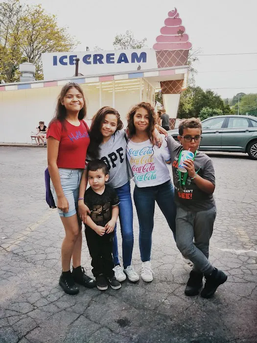 Burrstone Ice Cream Parlor Picture 6